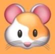 WWW,348se·COM网站APP最新版