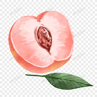 WWW,www48·COM网站APPAPP应用